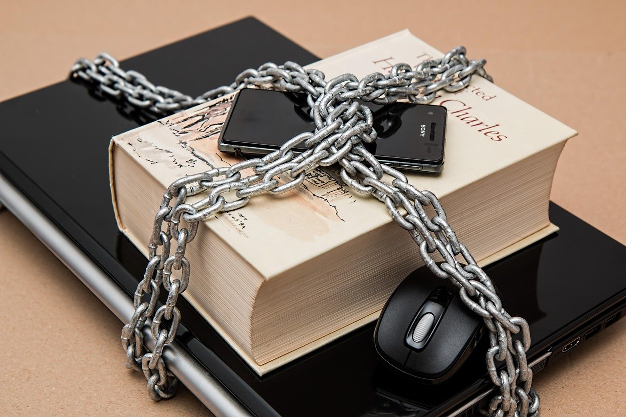Policy and Regulation: Guiding the Transition (image credits: pixabay)
