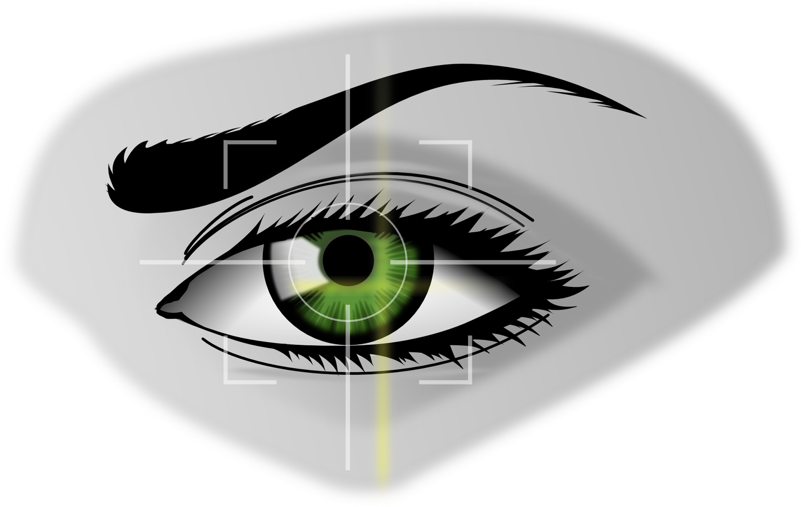 Invisible Watchers: The Privacy Dilemma of Biometric Data (image credits: wikimedia)