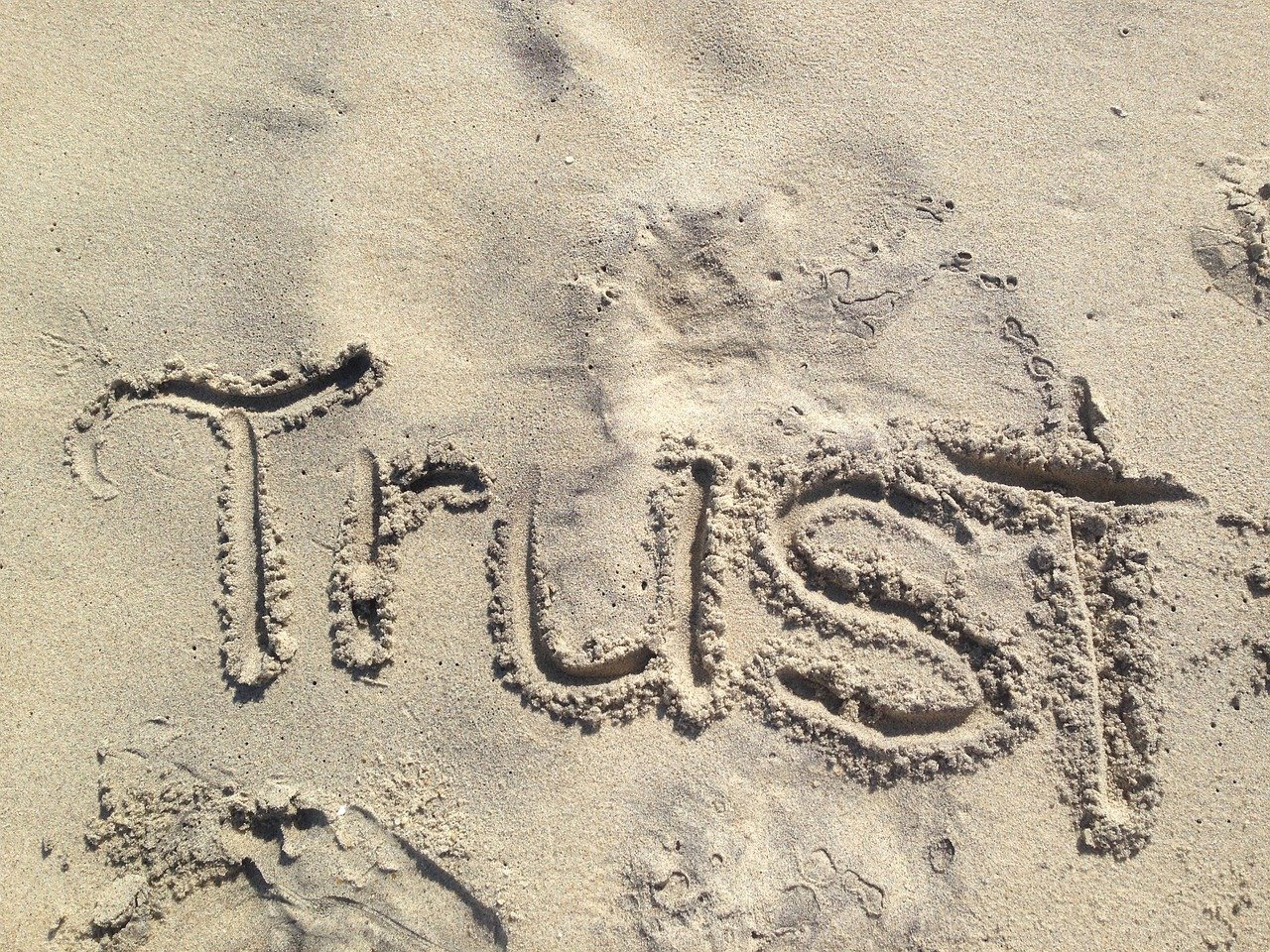 Trust Issues: What Do Consumers Really Think? (image credits: pixabay)