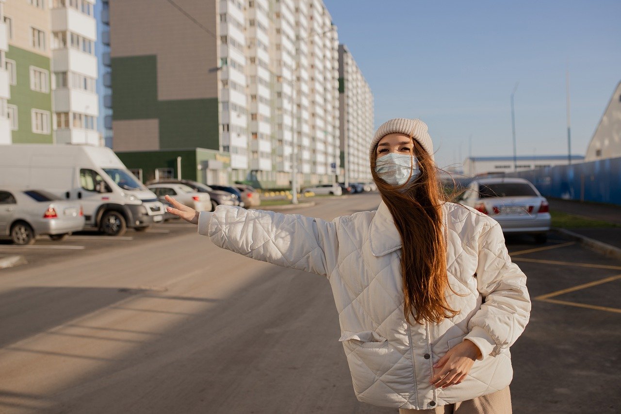 Cleaner, Greener Skies: The Environmental Promise (image credits: pixabay)
