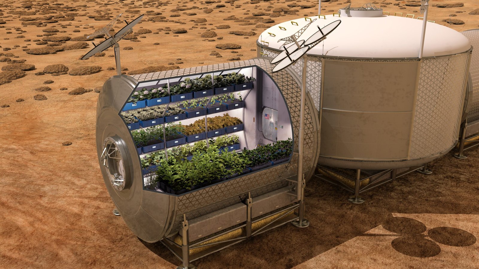 What This Means for Mars Colonization Plans (image credits: wikimedia)