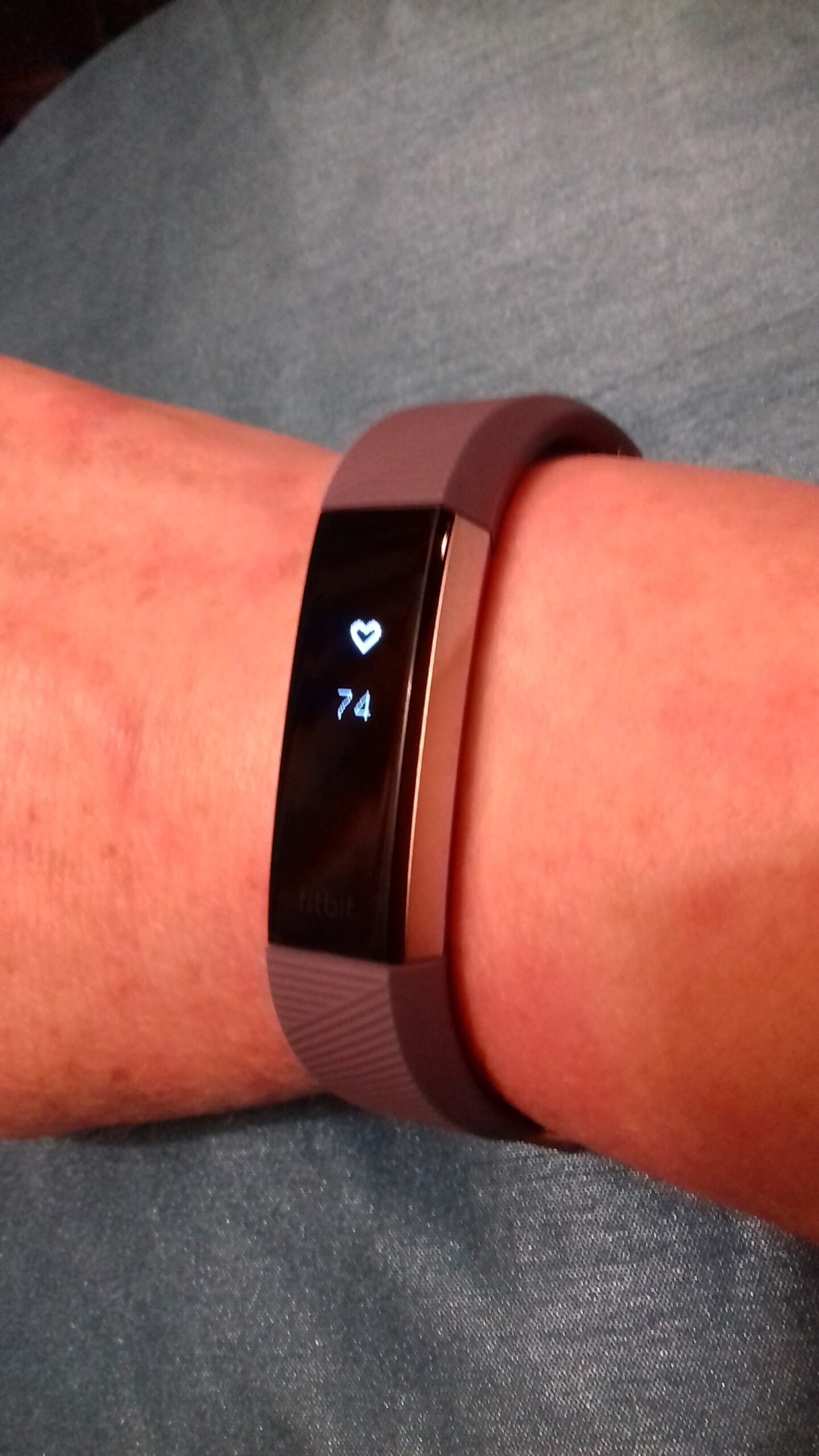 Real-Time Heart Rate: Your Personal Health Dashboard (image credits: wikimedia)