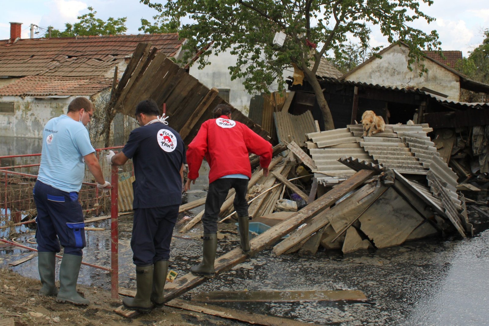 Saving Lives in Disaster and Crisis Zones (image credits: wikimedia)