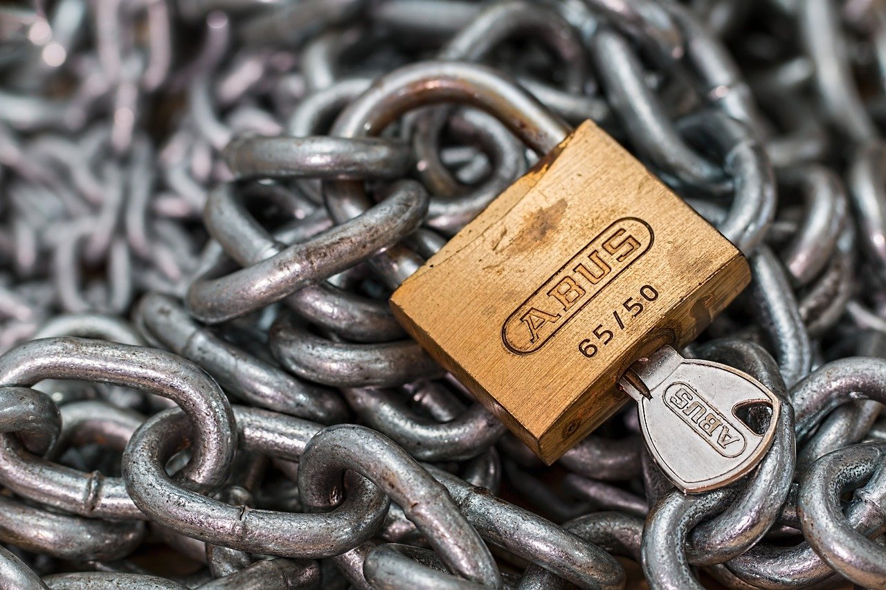 The Future of Smart Lock Security: Innovation or Invitation? (image credits: pixabay)