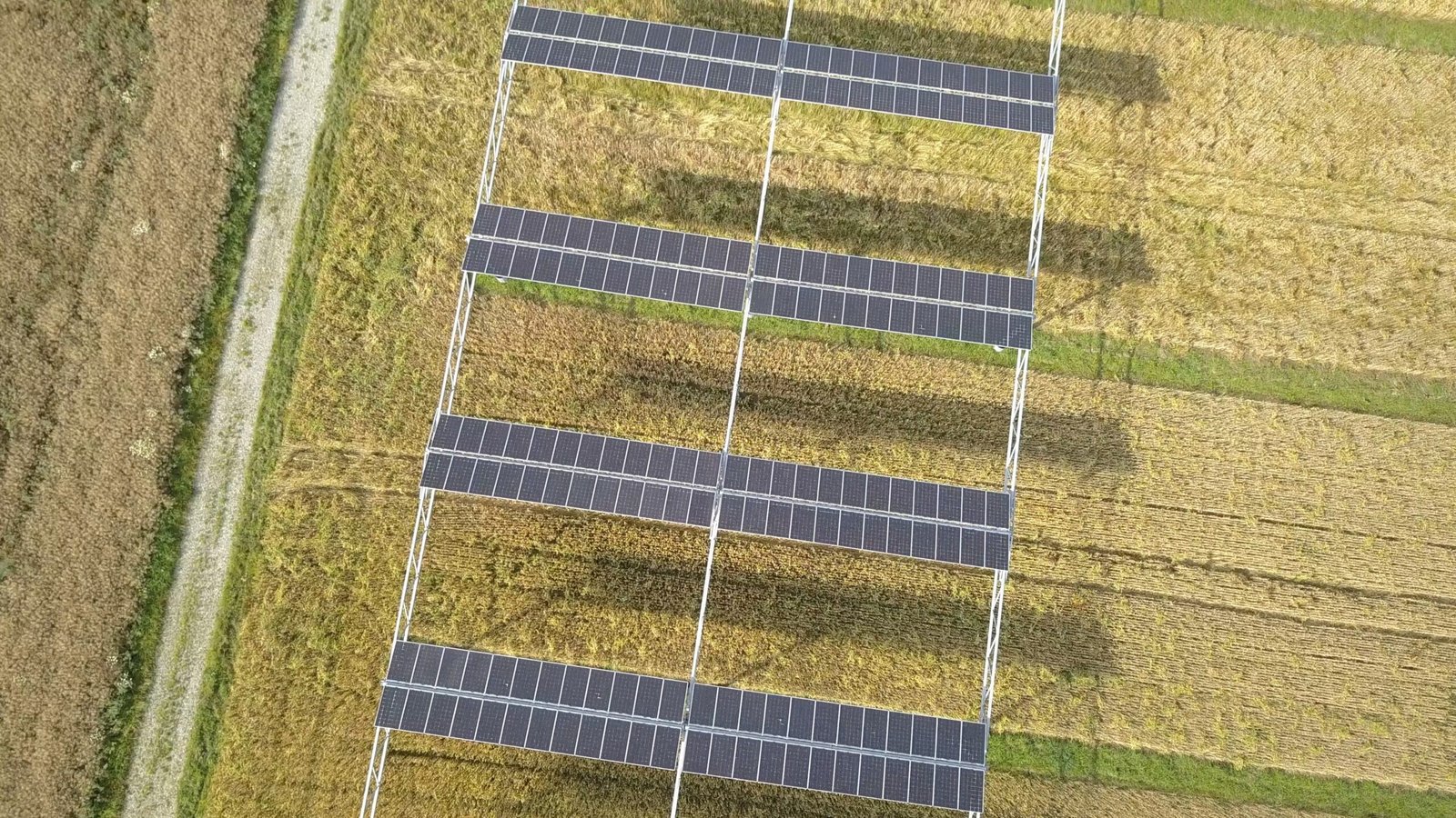 Solar-Powered Agriculture Feeds the Future (image credits: wikimedia)