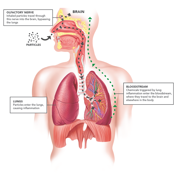 Facing the Unseen: What’s Next for Our Health? (image credits: wikimedia)