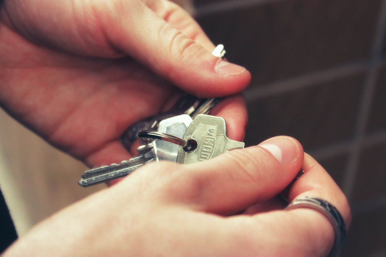 Goodbye Keys: Unlocking Your World with a Gesture (image credits: pixabay)
