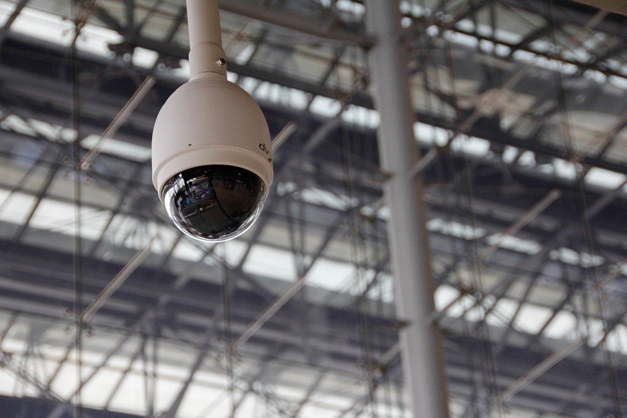 Smart Security Cameras (image credits: pixabay)