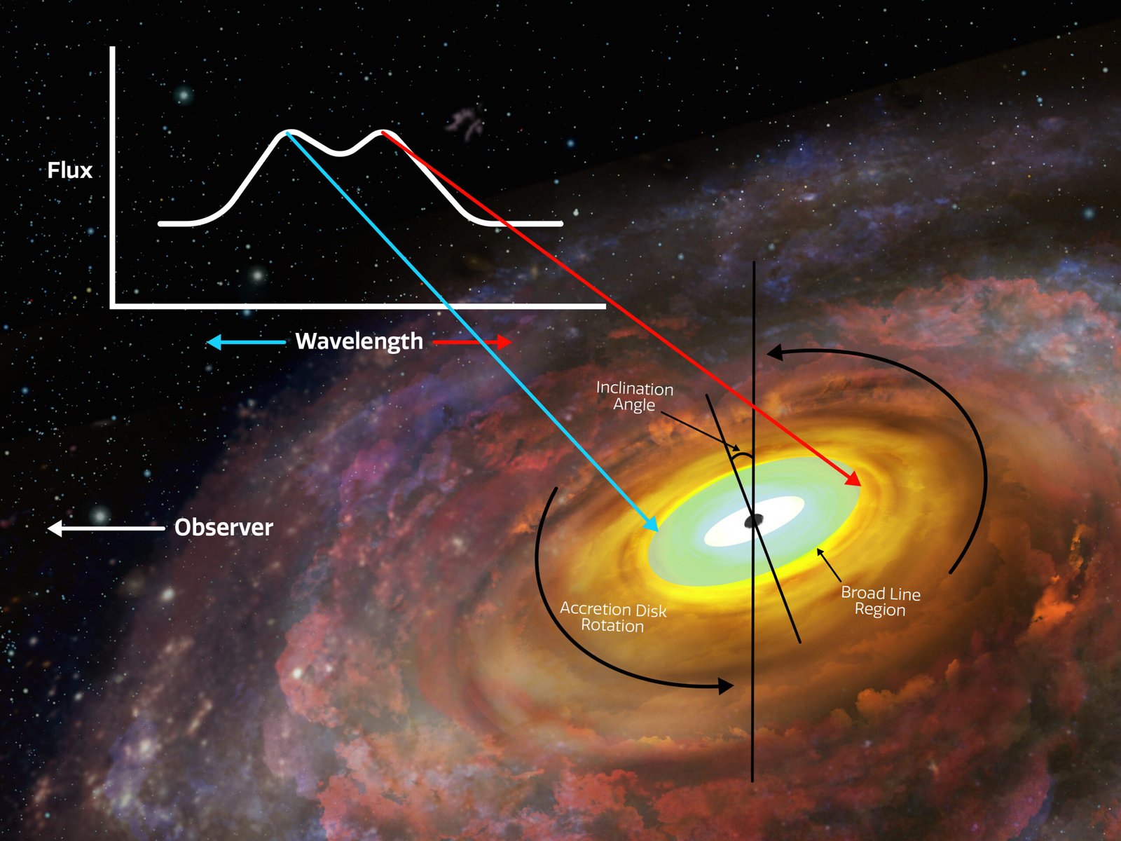 A Universe of Cosmic Cannibals (image credits: wikimedia)