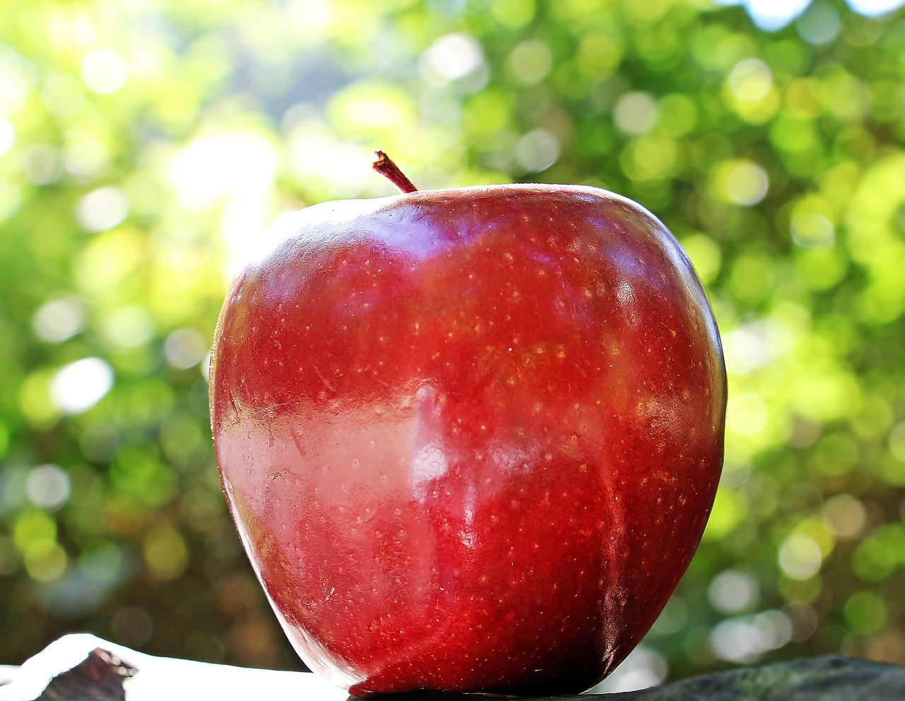 The Discovery of Gravity: Invisible Forces at Work (image credits: pixabay)