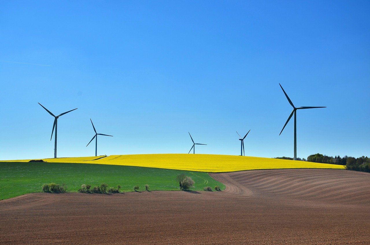 The Sustainability Sweet Spot (image credits: pixabay)