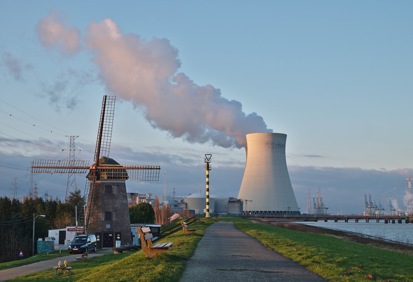 Environmental Impact: The Elephant in the Room (image credits: wikimedia)