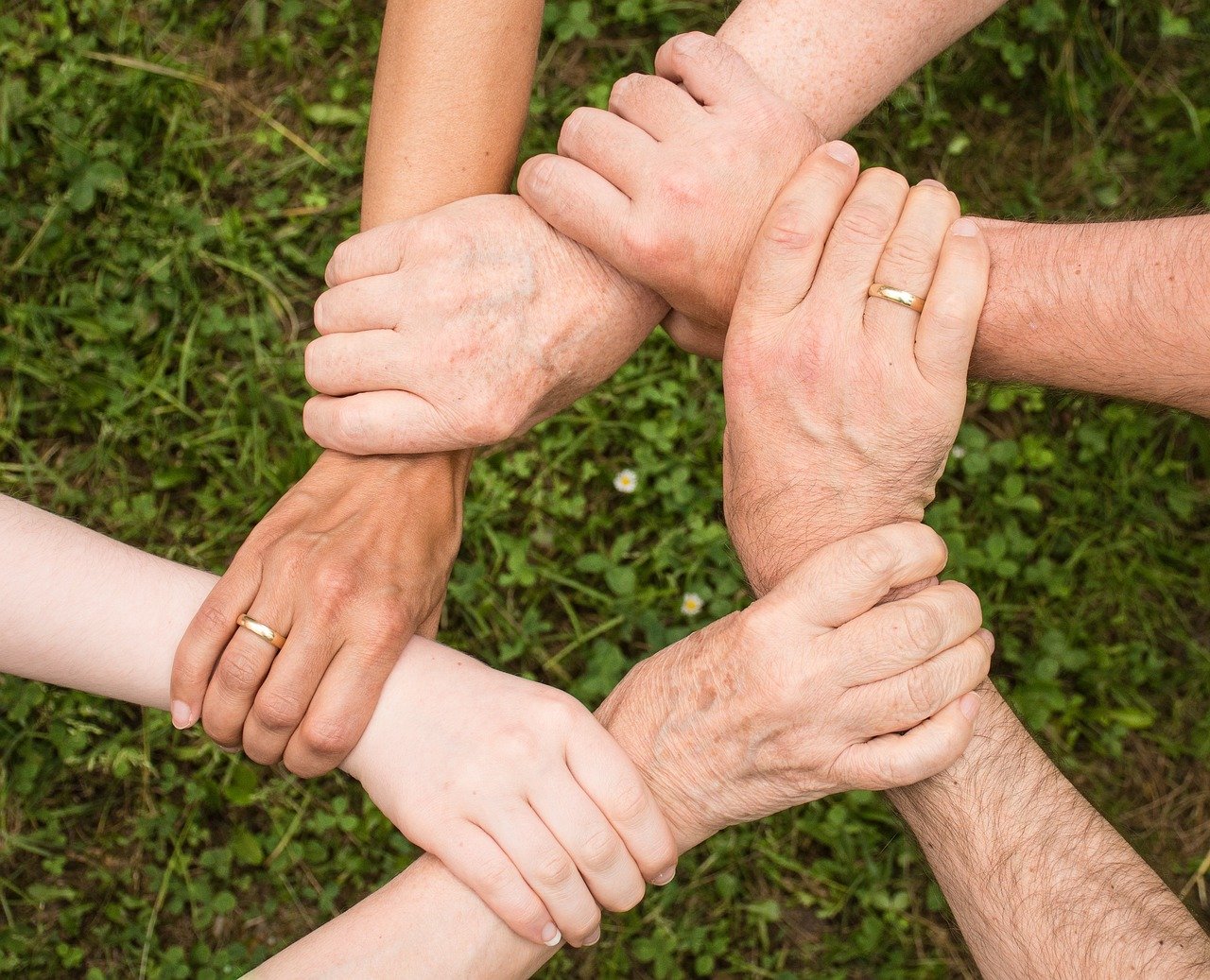 Building Your AI Relationship Strategy (image credits: pixabay)