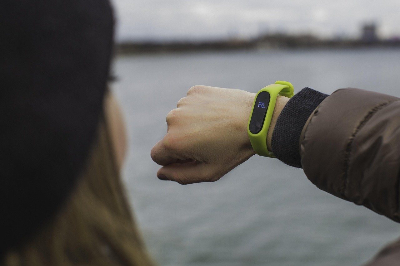 Health Monitors That Know You Better Than Your Doctor (image credits: pixabay)