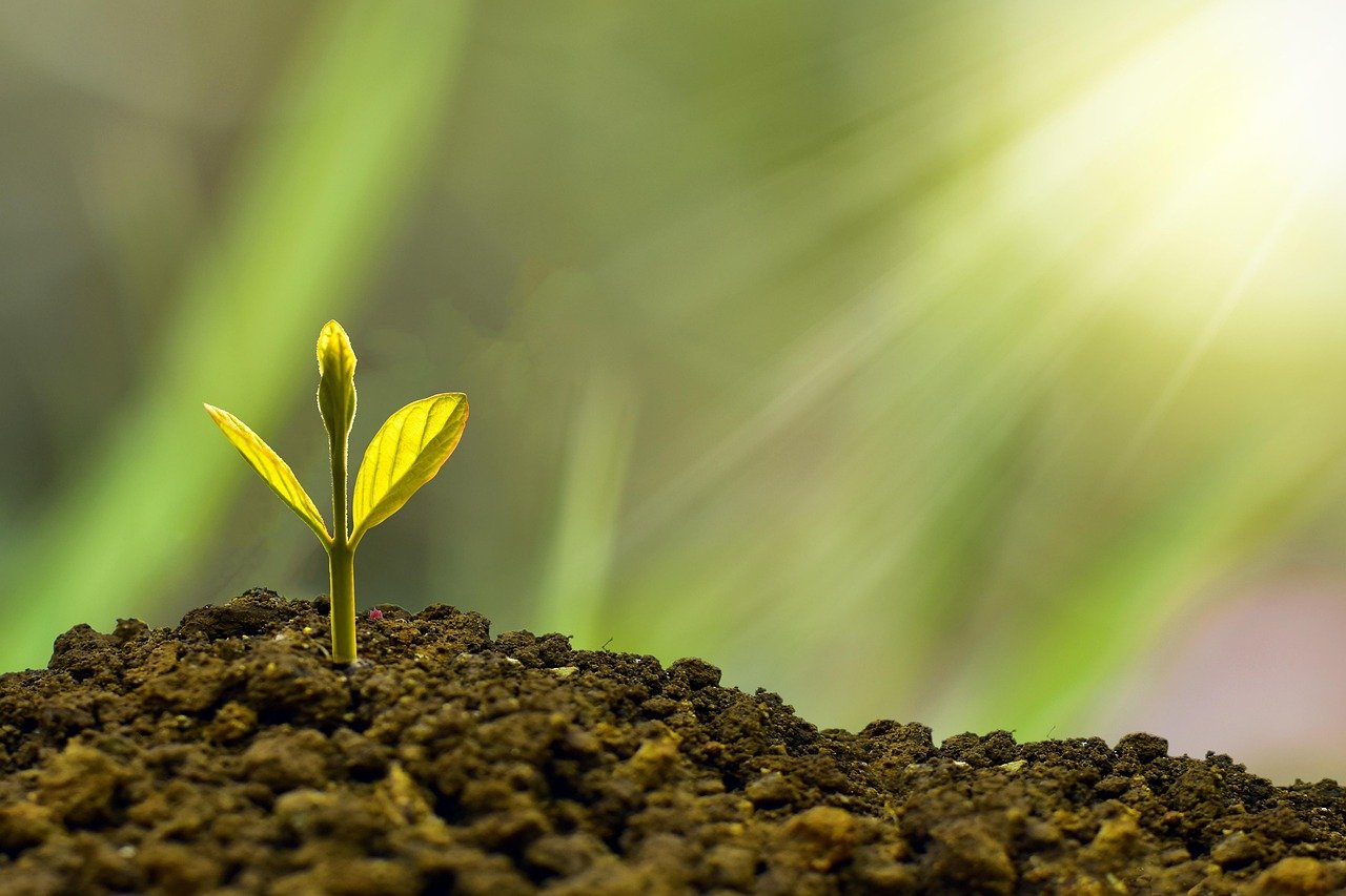 The Financial Reality Check (image credits: pixabay)