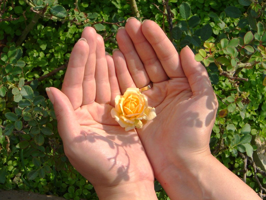 The Nodal Shift to Spiritual Service (image credits: flickr)