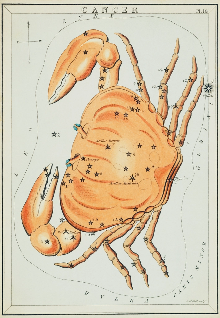 Cancer Horoscope Tomorrow (Jun 22–Jul 22) (image credits: rawpixel)