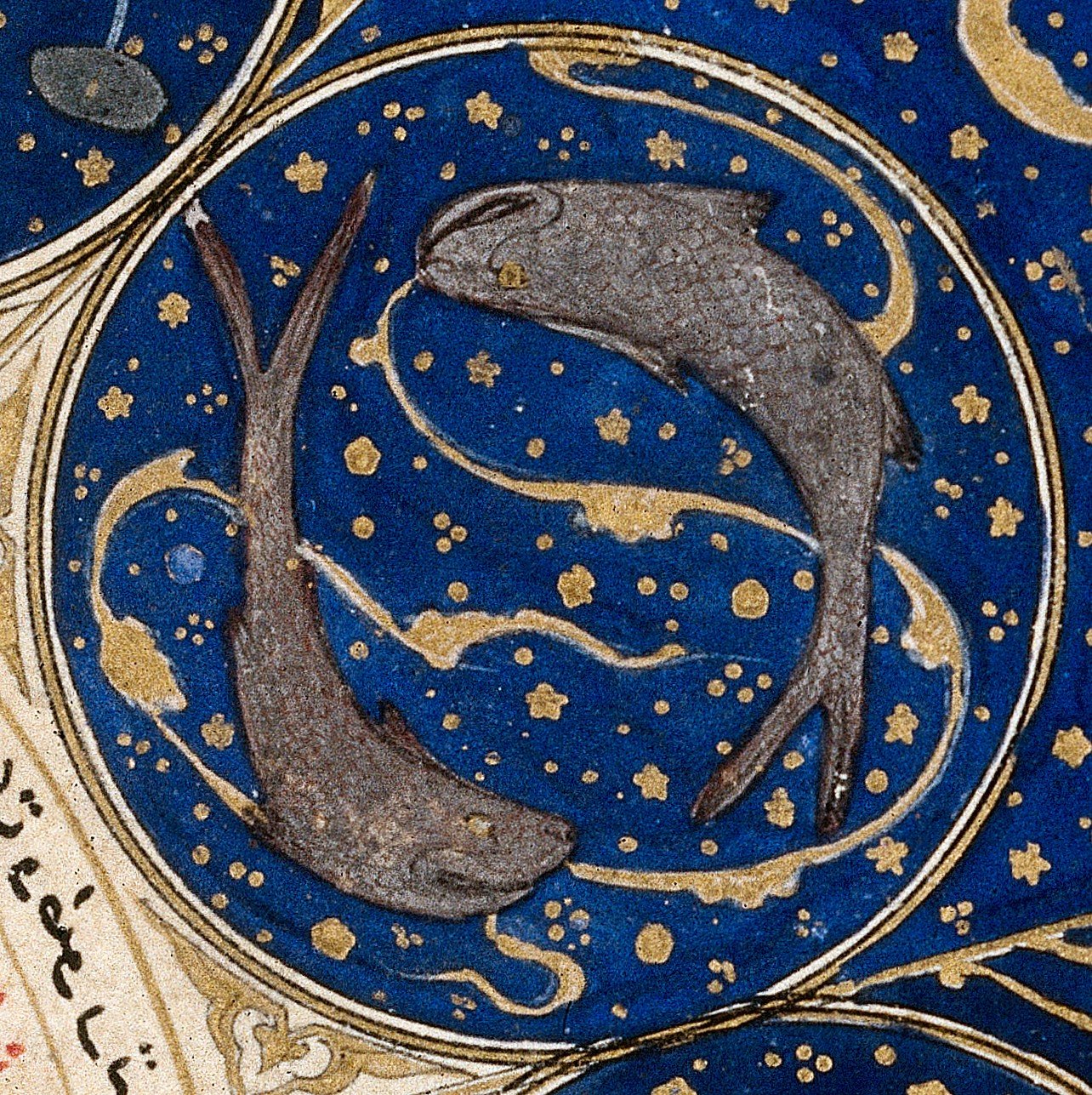 Pisces Horoscope Tomorrow (Feb 20–Mar 20) (image credits: CC BY 4.0, https://commons.wikimedia.org/w/index.php?curid=36095140)