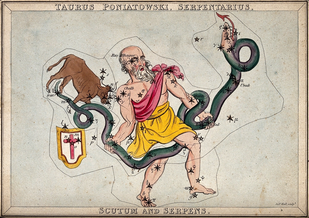 Taurus - The Stubborn Bull Who Hoards Everything (image credits: rawpixel)