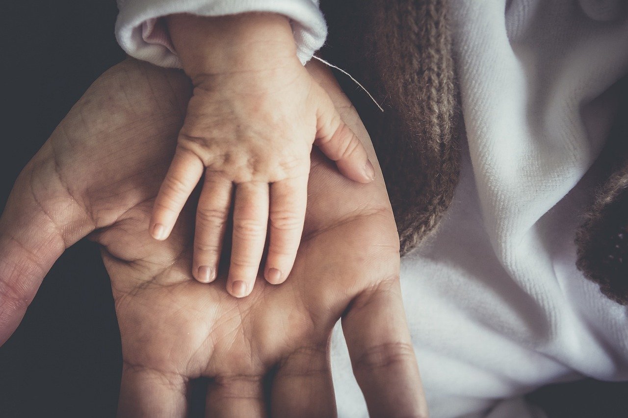 Taurus: The Patient Provider (image credits: pixabay)
