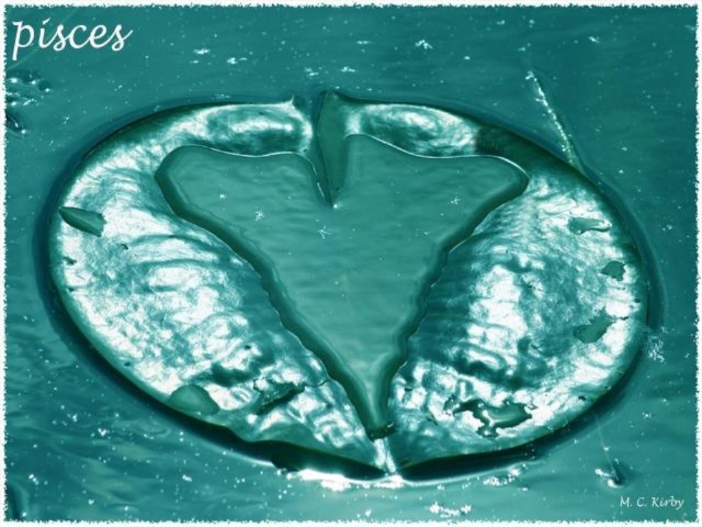 Pisces: Swimming Toward Clearer Waters (image credits: flickr)