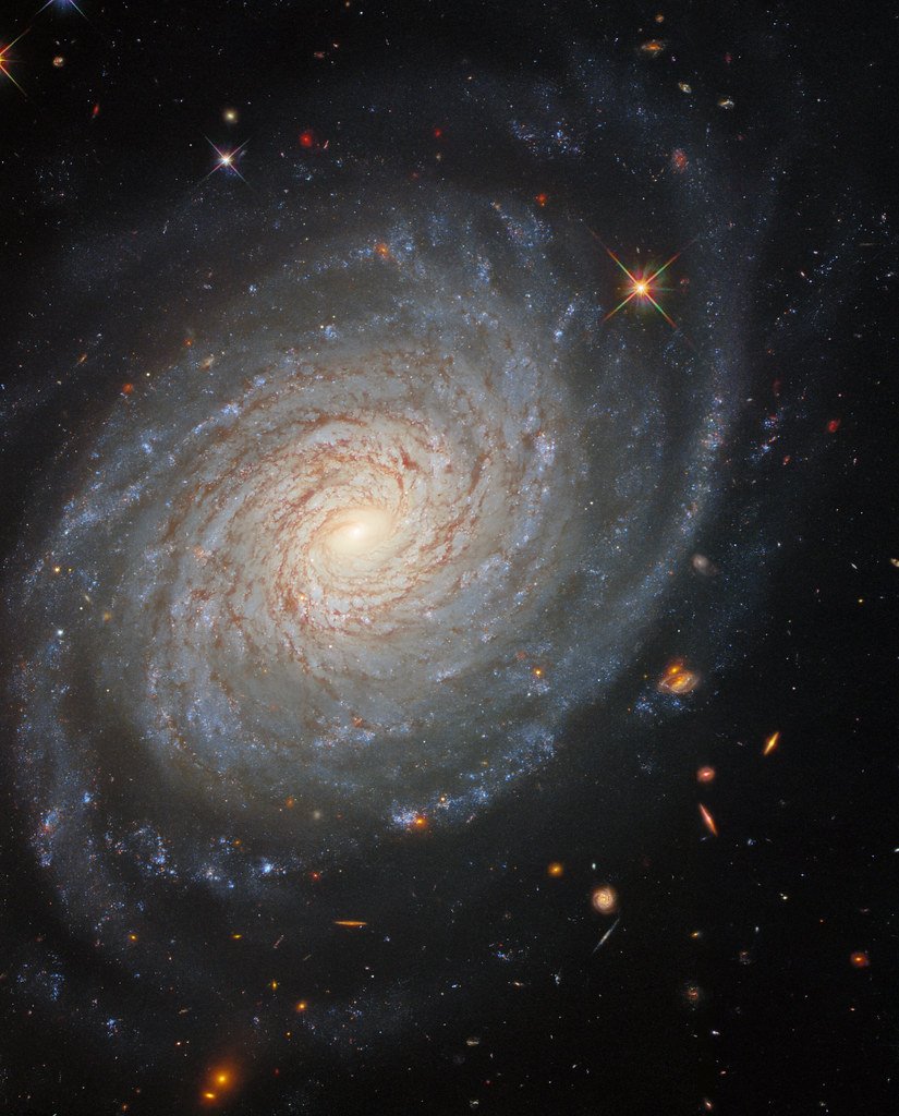 Aries' Bold Energy Commands Romantic Interest (image credits: flickr)