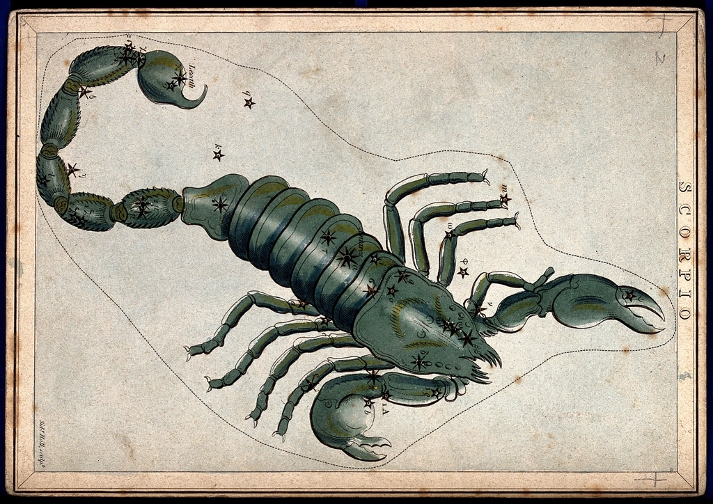 Scorpio: Deep Transformation Leads to Powerful Manifestation (image credits: rawpixel)