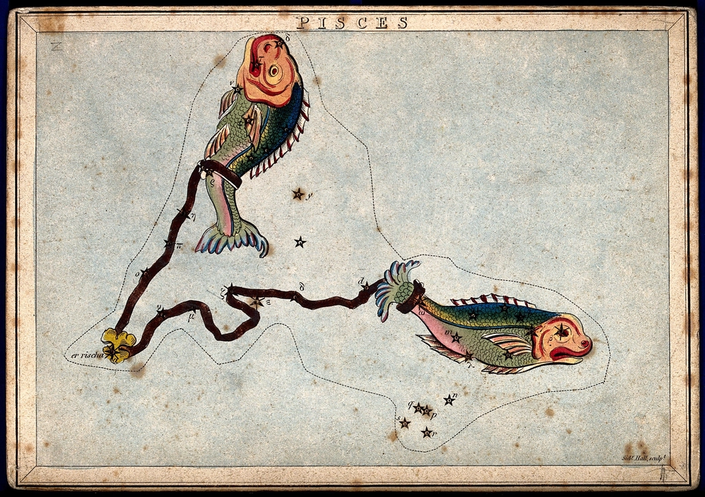 Pisces: Strength in Softness (image credits: rawpixel)