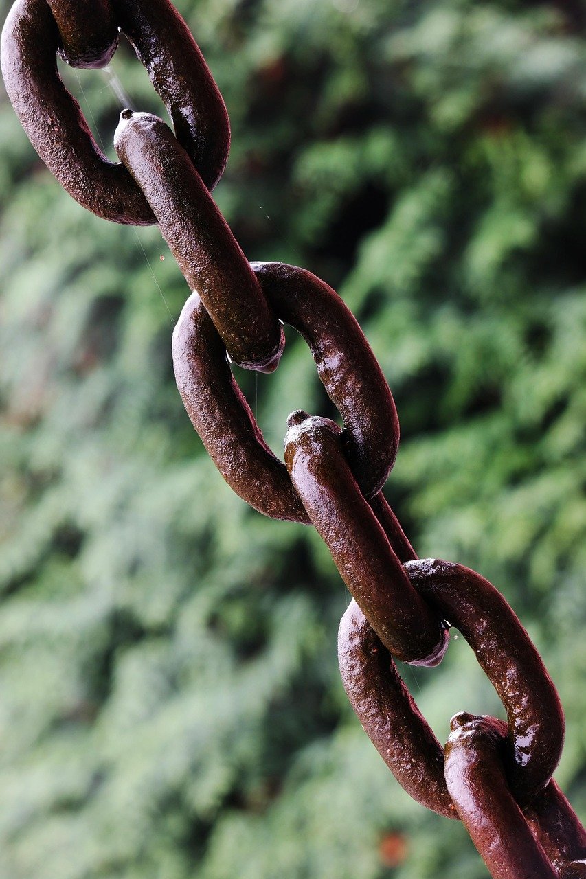 Breaking Free from Past Patterns (image credits: pixabay)