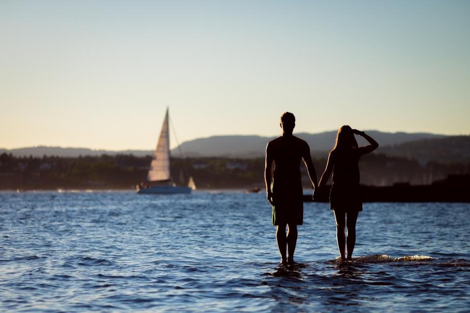Cancer: The Emotional Magnet Drawing Hearts Home (image credits: stocksnap)