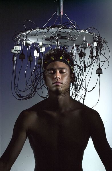 Training Your Intuitive Muscles for Maximum Impact (image credits: wikimedia)