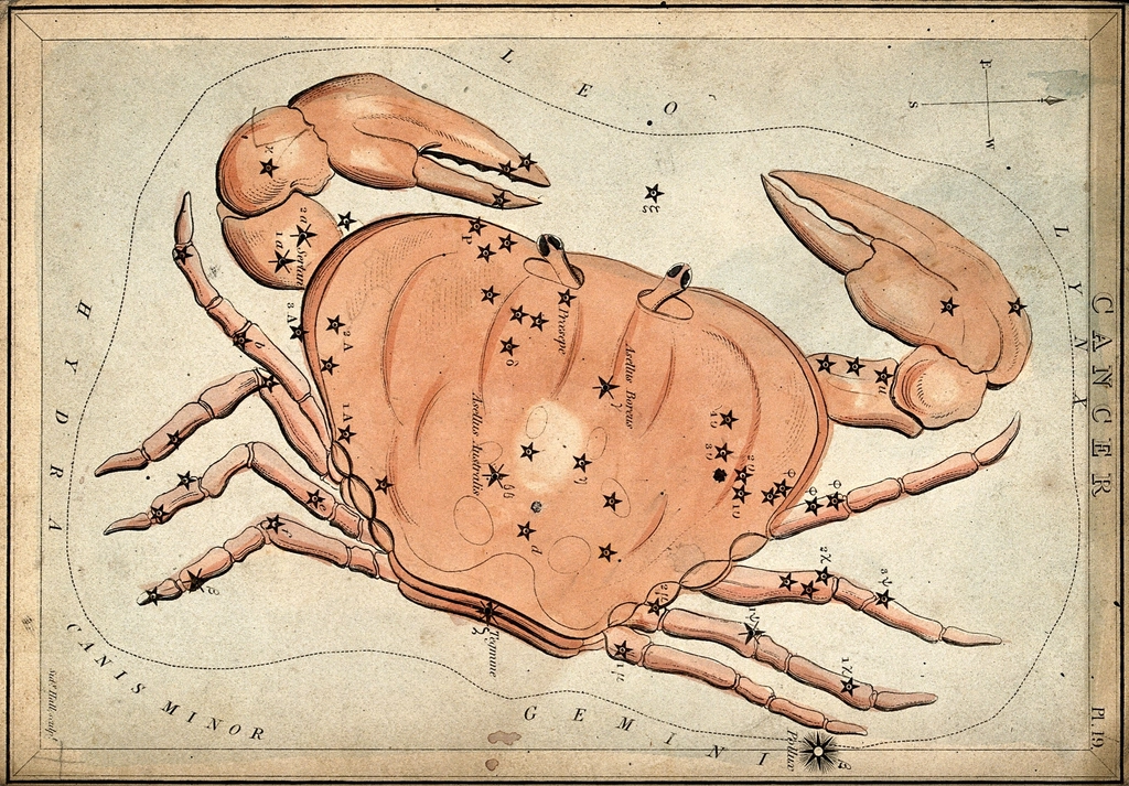 Cancer: The Hidden Warrior Behind the Nurturing Shell (image credits: rawpixel)