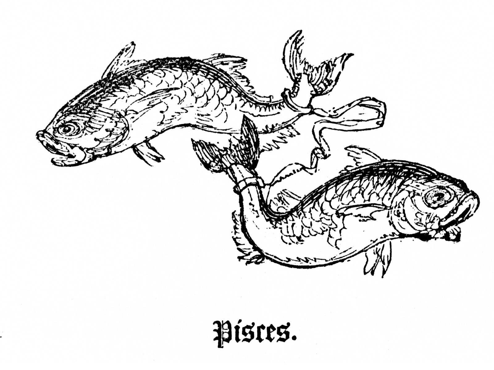 Pisces: The Spiritual Bridge Builder (image credits: By William Hone, Public domain, https://commons.wikimedia.org/w/index.php?curid=2430965)