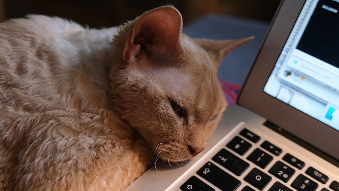 Why "Quiet Ambition" Is the Top Workplace Trend of 2026