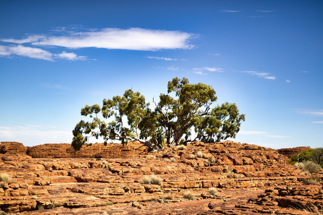 Australia’s “Red Centre” Turns Green