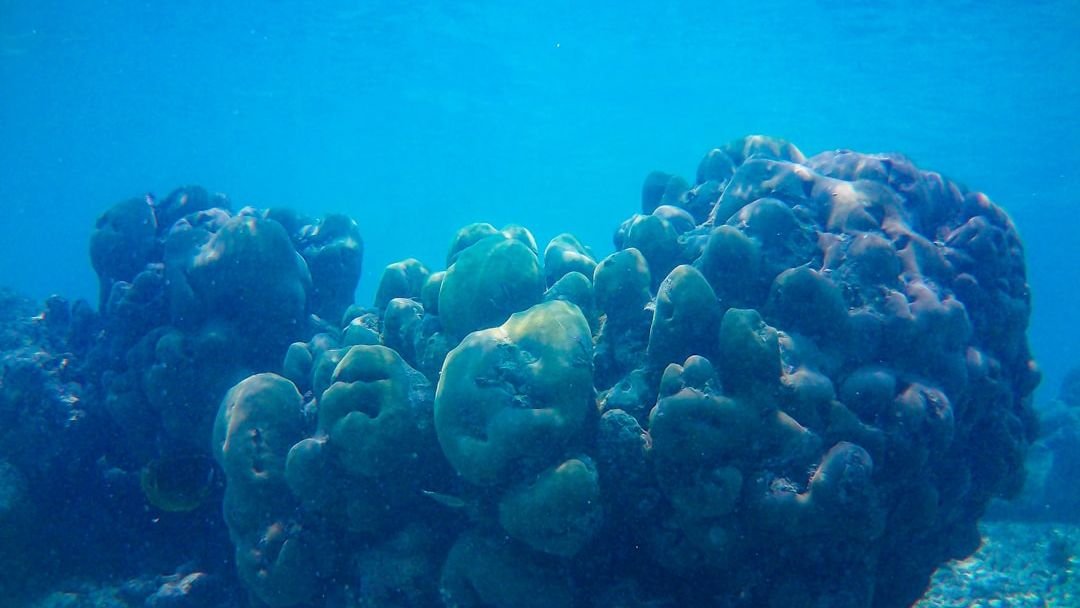 The Gravity Mystery: Why One Part of the Indian Ocean Is Lower Than the Rest