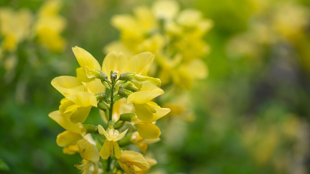 Cosmic Reset: 5 Zodiac Signs About to Experience a 'Life-Altering' Windfall This Spring