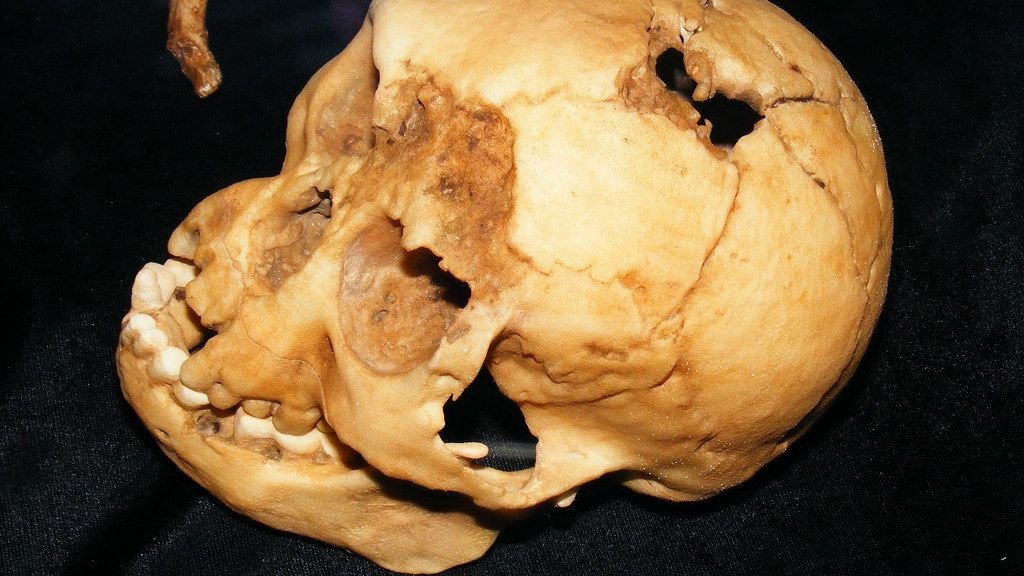 The "Hobbit" Fossil: Why a New Discovery in Indonesia Suggests Humanity Is Far Older Than We Ever Imagined