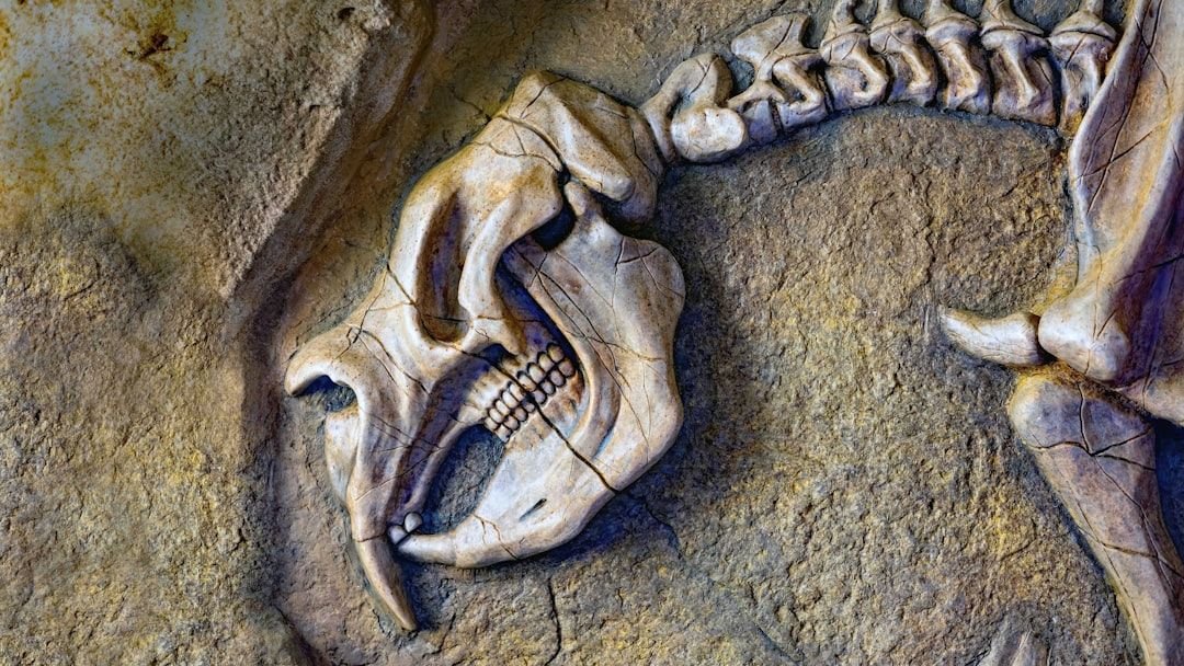 DNA Bombshell: A 2.6-Million-Year-Old Jawbone Proves Humans Weren't the Only Intelligent Species