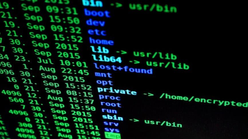 Zero Day Dispatch: Inside the Underground Market for Unpatchable Flaws