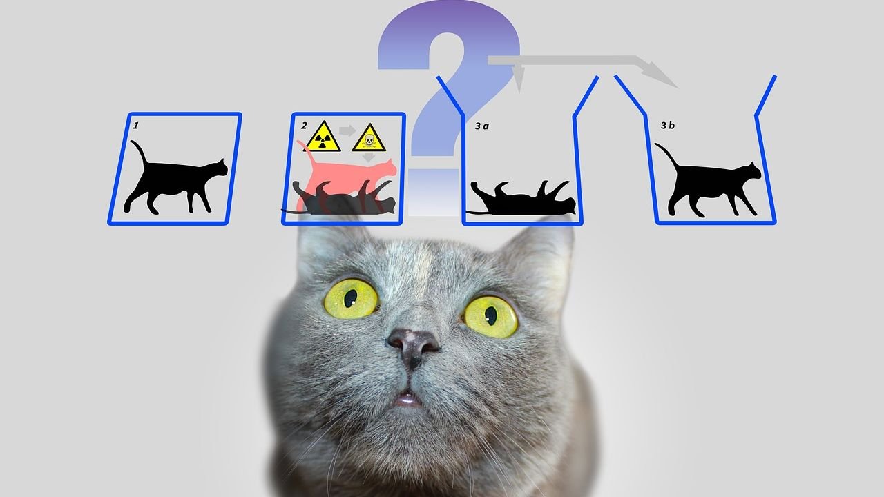 The Schrödinger's Cat-alogue: Why Quantum Superposition is No Longer a Thought Experiment
