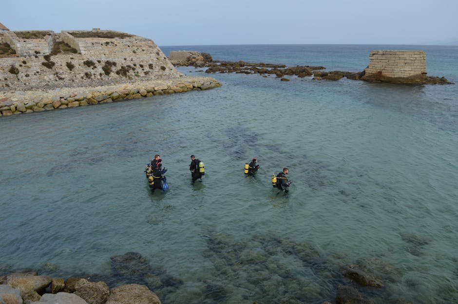 Professor Kimura and the Case for a Lost City (Image Credits: Pexels)