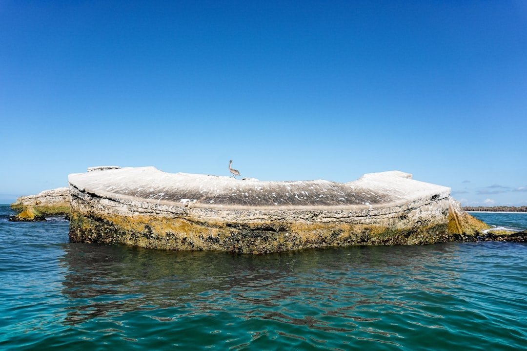 The Jomon Connection: Japan's Forgotten Ancient People (Image Credits: Unsplash)