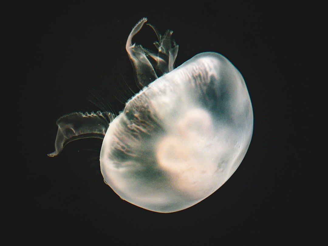 The Tiny Parasite That Shocked Scientists: An Animal Without Oxygen (Image Credits: Unsplash)