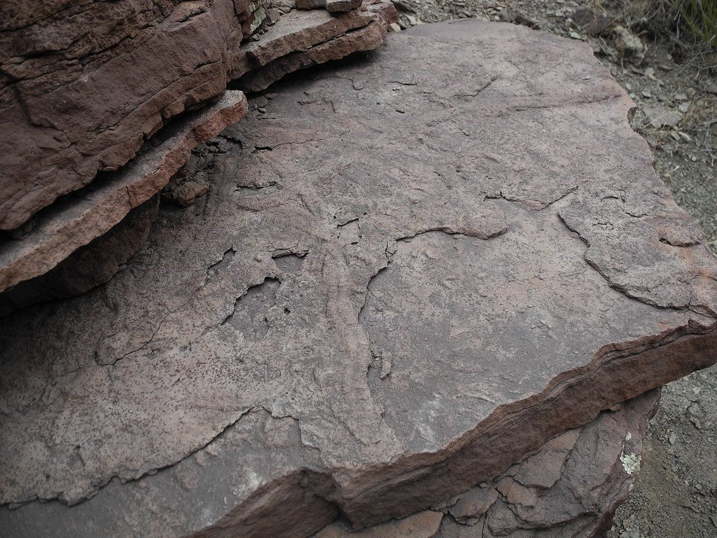 The Timing: Hours Apart, Not Thousands of Years (Image Credits: Flickr)