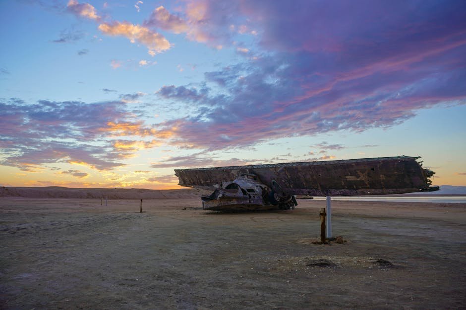 A Star With a Documented History of Appearing at Disasters (Image Credits: Pexels)