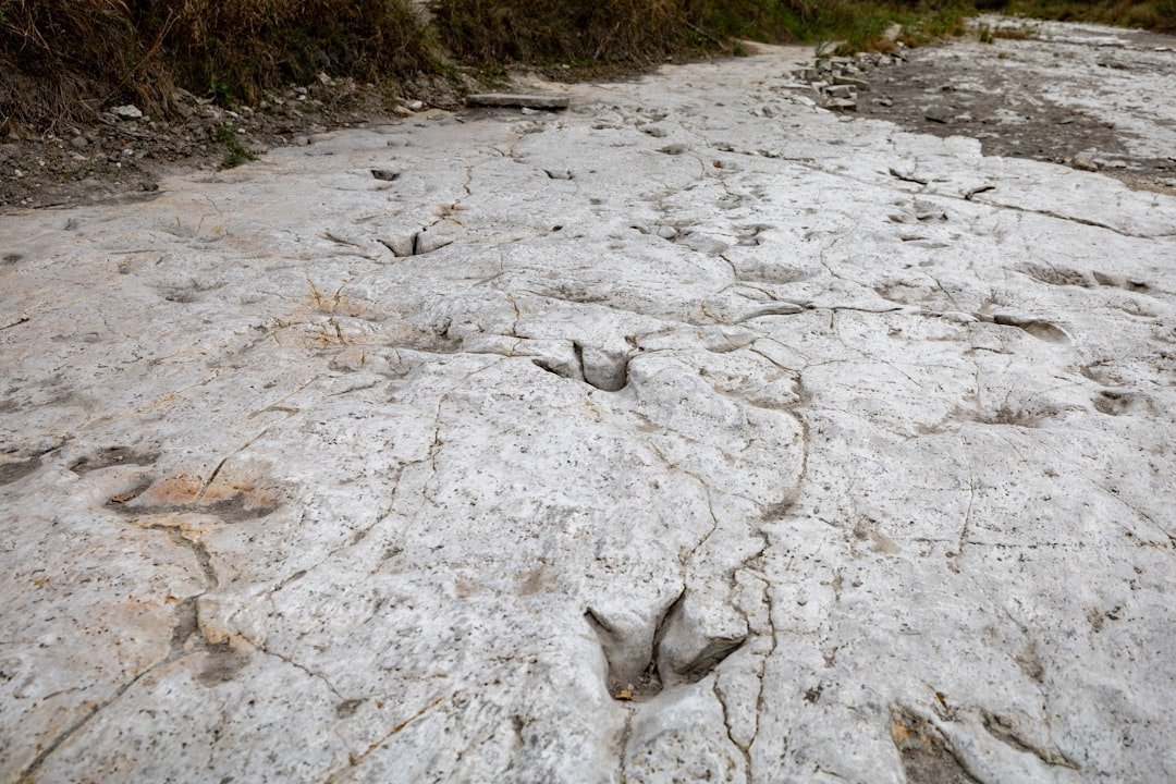 Competition, Cooperation, or Something In Between? (Image Credits: Unsplash)