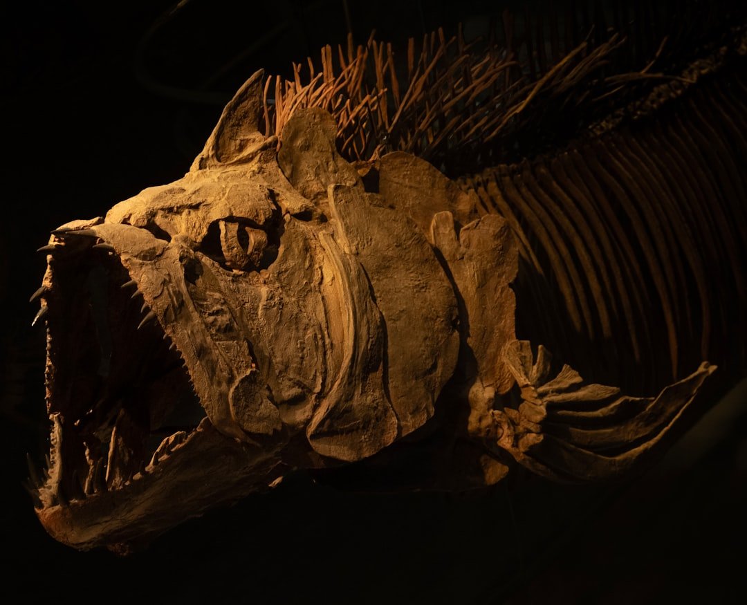 Fossils show humans’ invertebrate ancestors are older than we thought