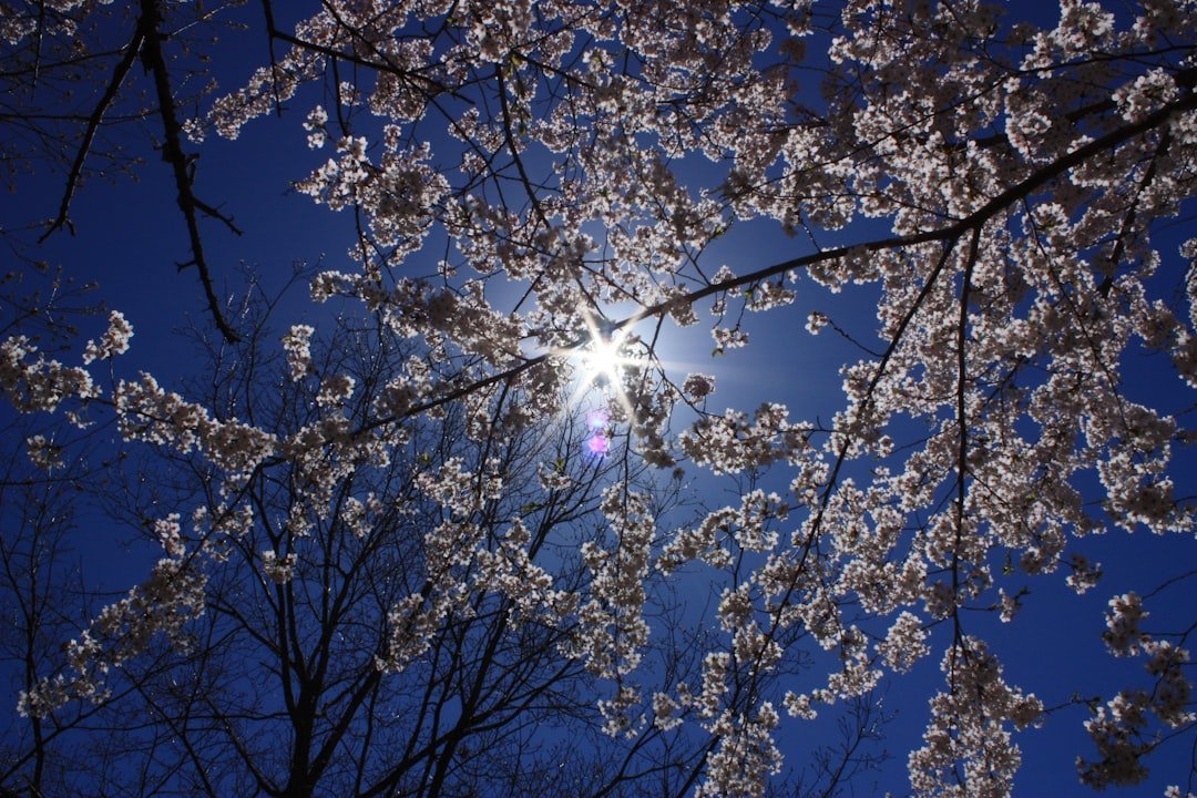 The 2026 Spring Equinox Is Not Your Average Astrological Reset (Image Credits: Unsplash)