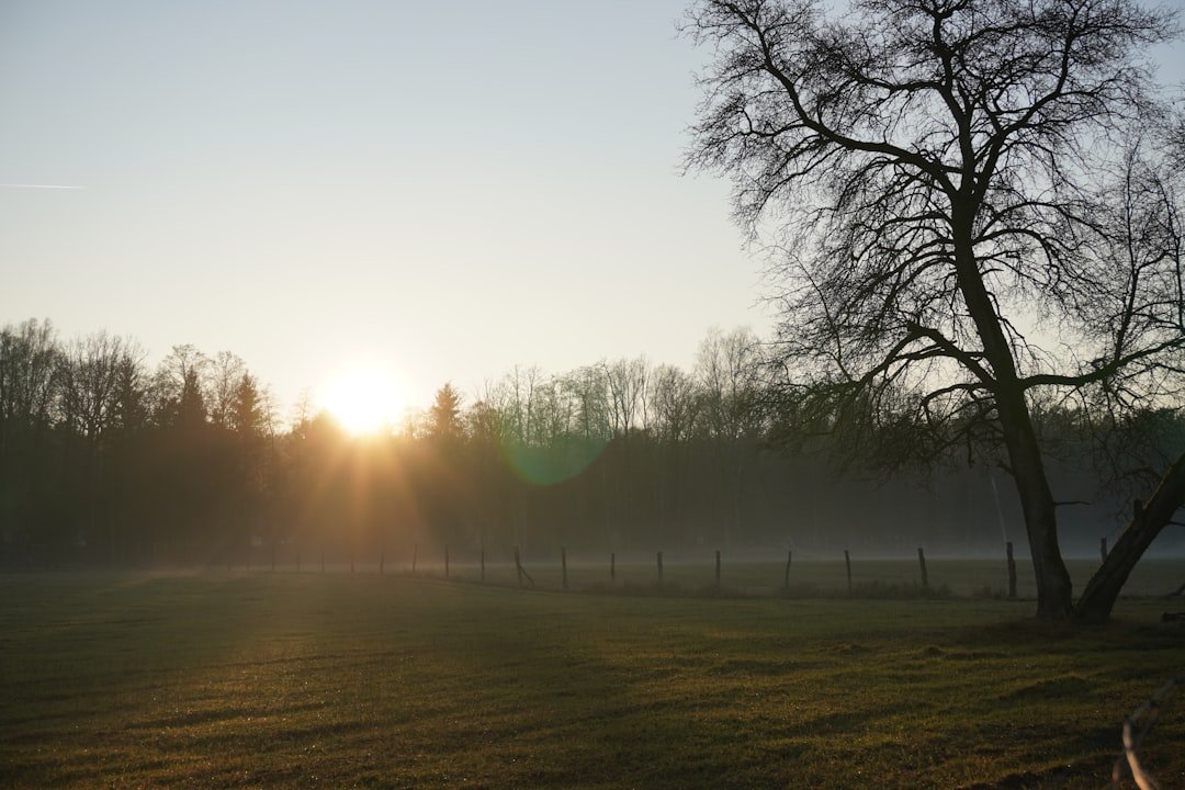 Why the Spring Equinox Creates a Doorway for Healing (Image Credits: Unsplash)